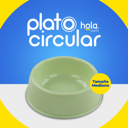 Plato Circular Clásico -...