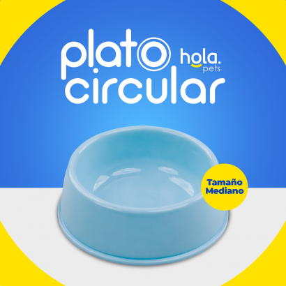 Plato Circular Clásico -...